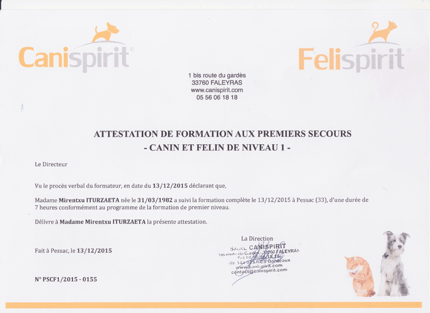 Formation premiers secours niv 1 Formation premiers secours niv 1
