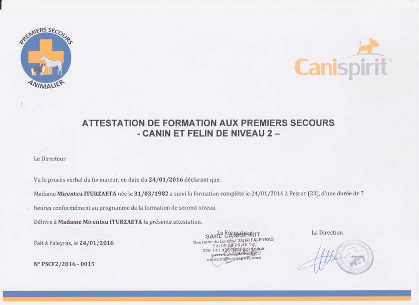 Formation premiers secours niv 2 Formation premiers secours niv 2